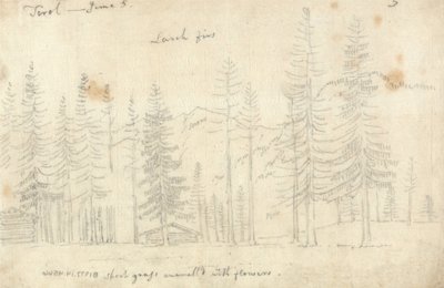 In the Tyrol by John Robert Cozens
